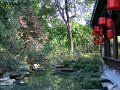 Chengdu (026)